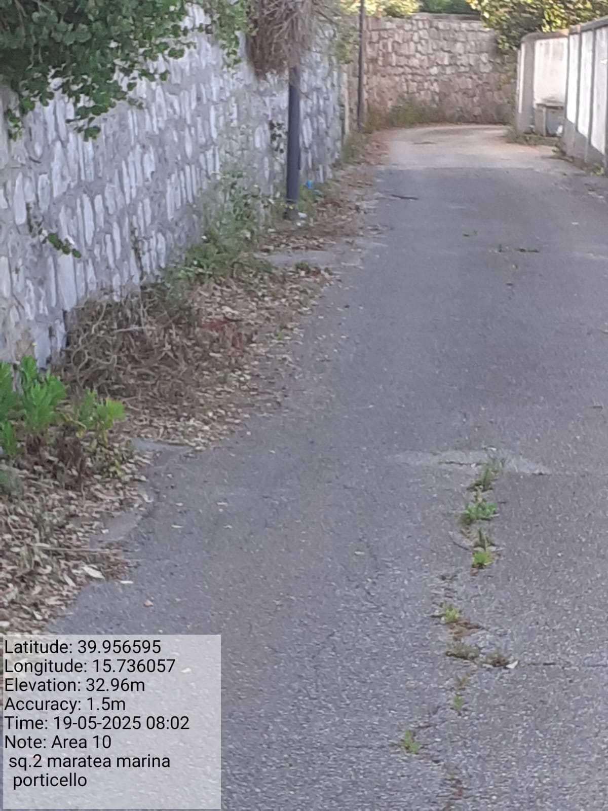 Galleria Fotografica Immagine