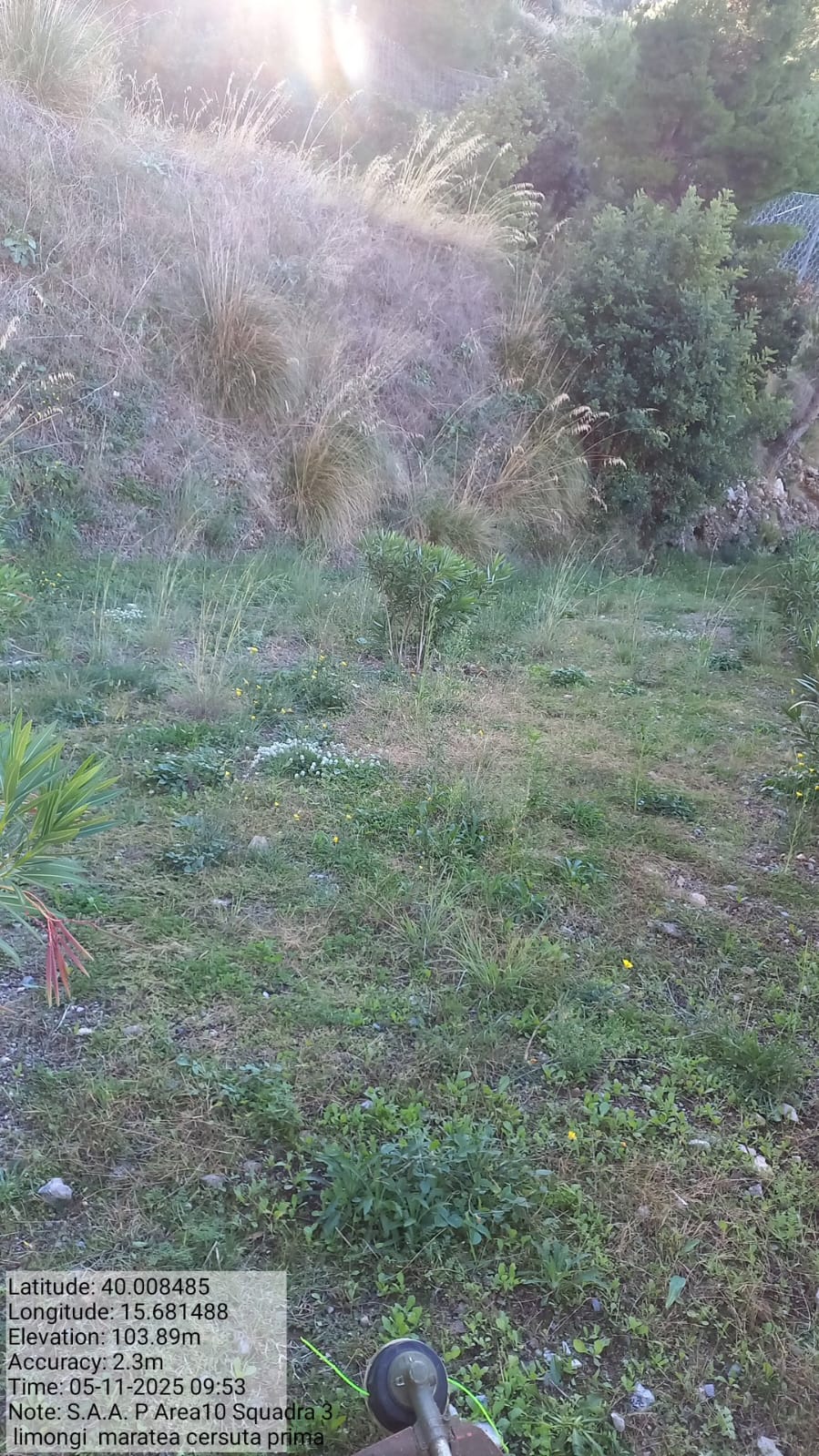 Galleria Fotografica Immagine