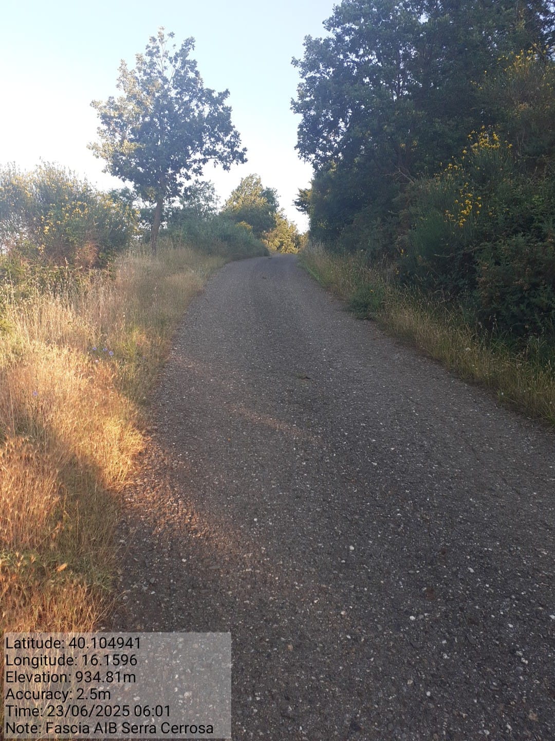 Galleria Fotografica Immagine