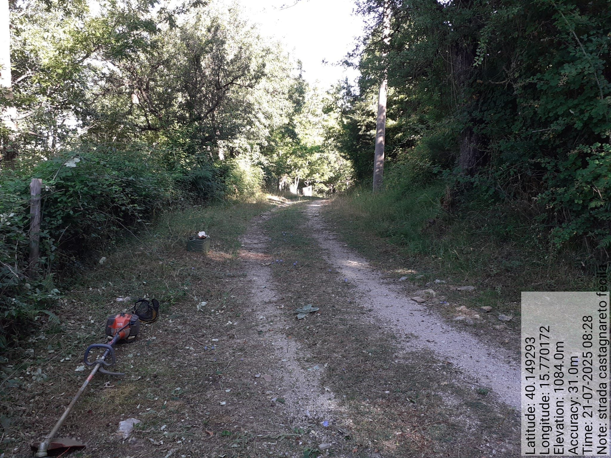 Galleria Fotografica Immagine