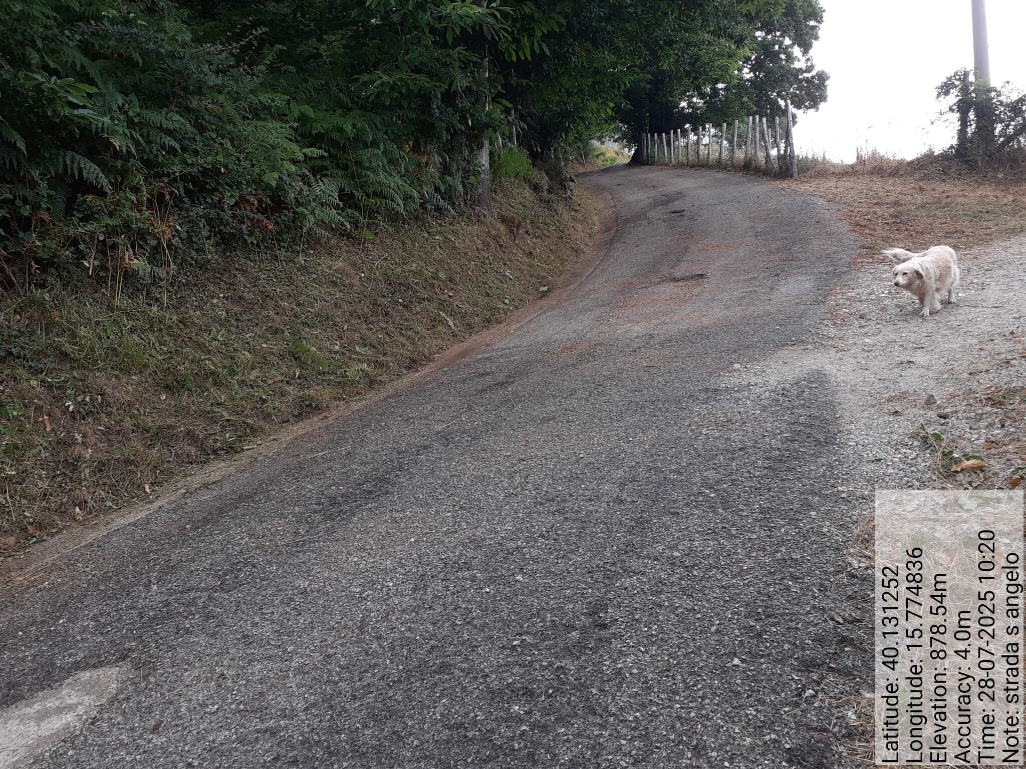 Galleria Fotografica Immagine