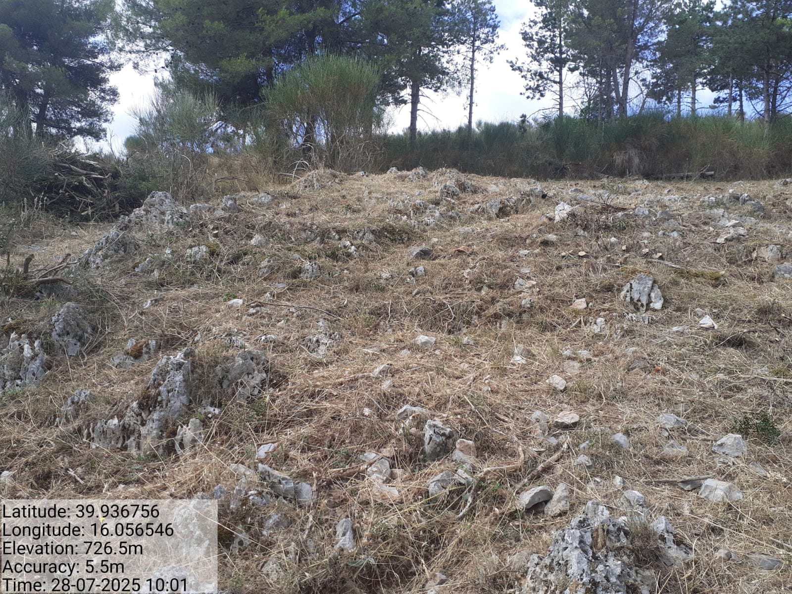 Galleria Fotografica Immagine