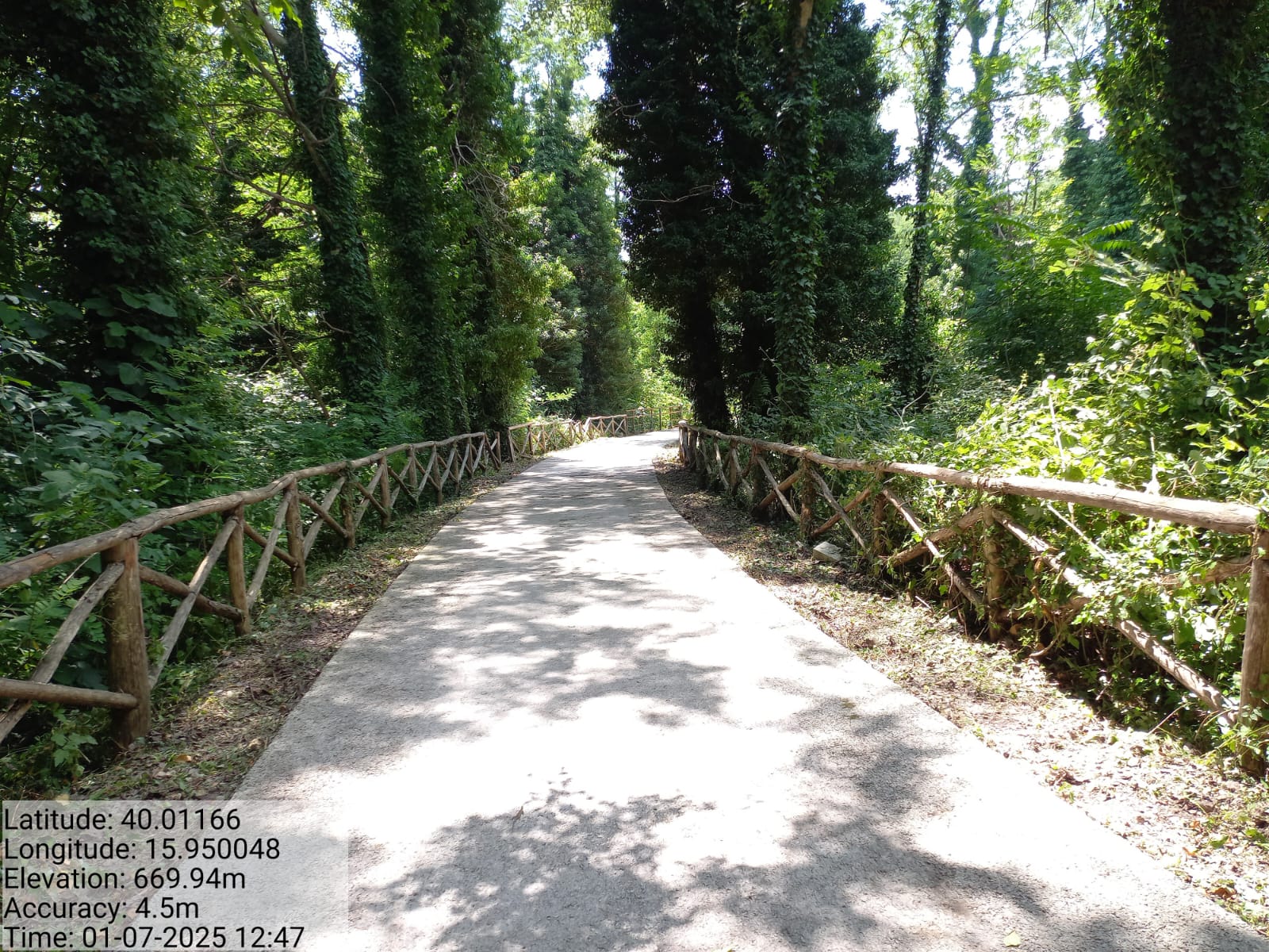 Galleria Fotografica Immagine