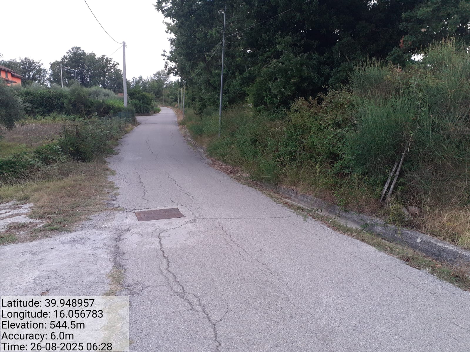 Galleria Fotografica Immagine