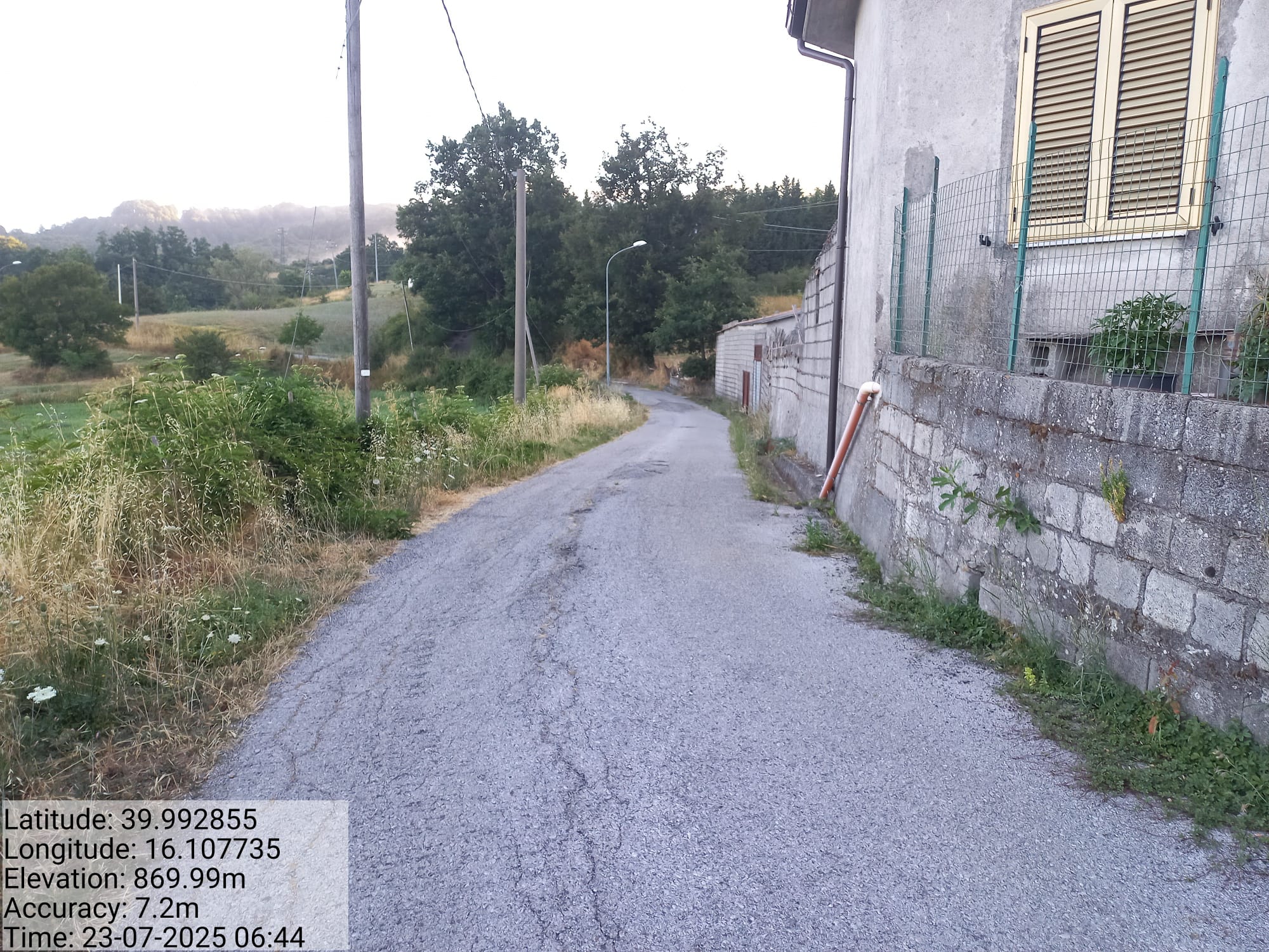 Galleria Fotografica Immagine