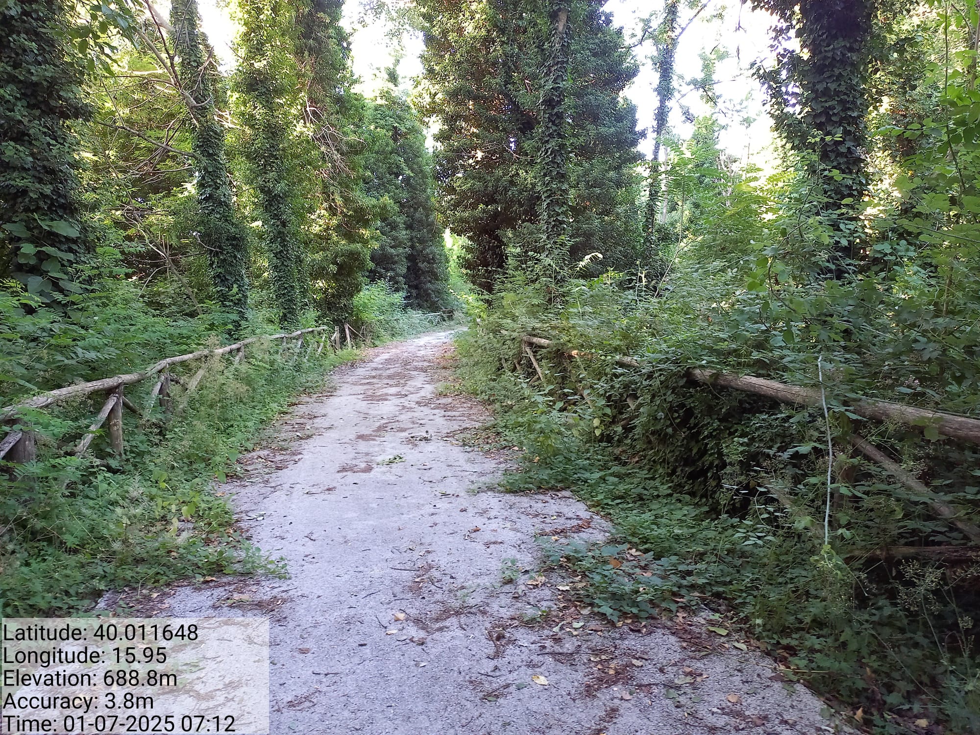 Galleria Fotografica Immagine