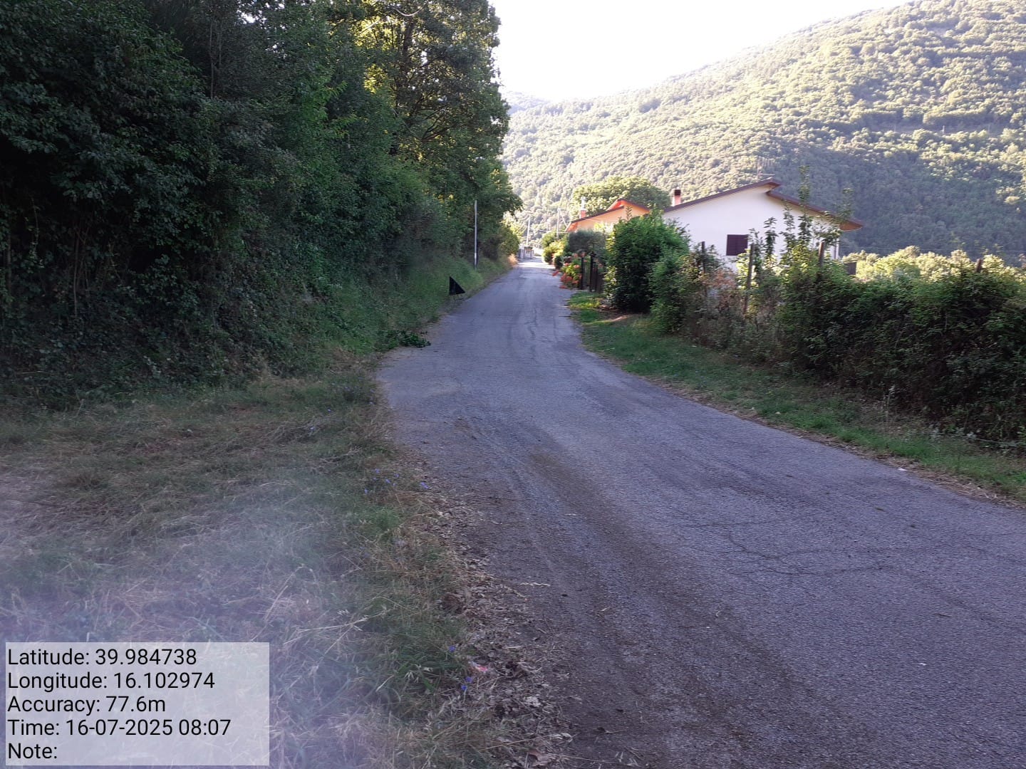 Galleria Fotografica Immagine