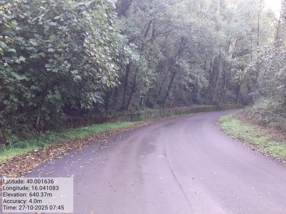 Galleria Fotografica Immagine