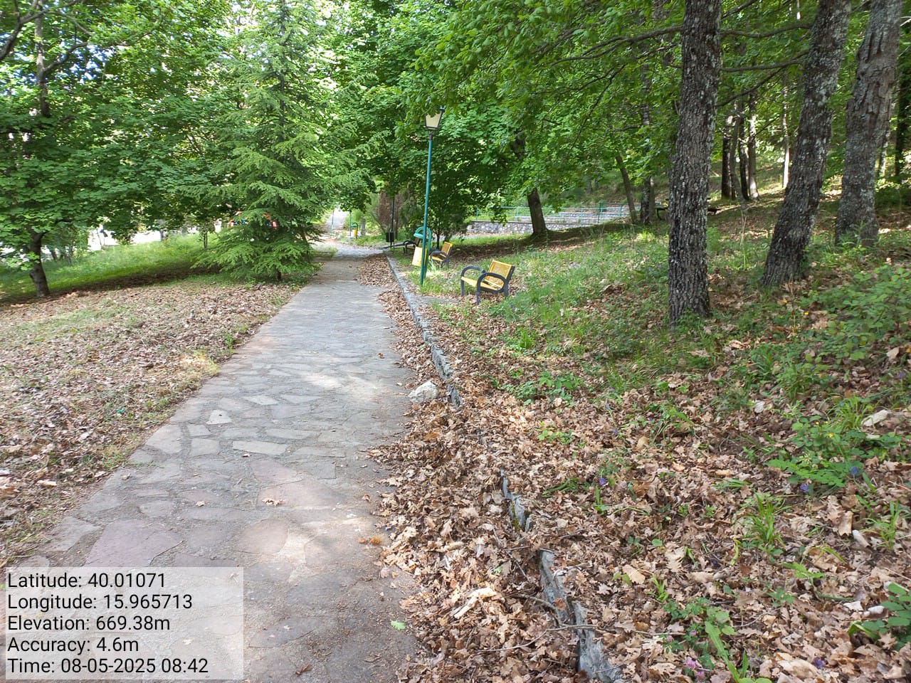 Galleria Fotografica Immagine