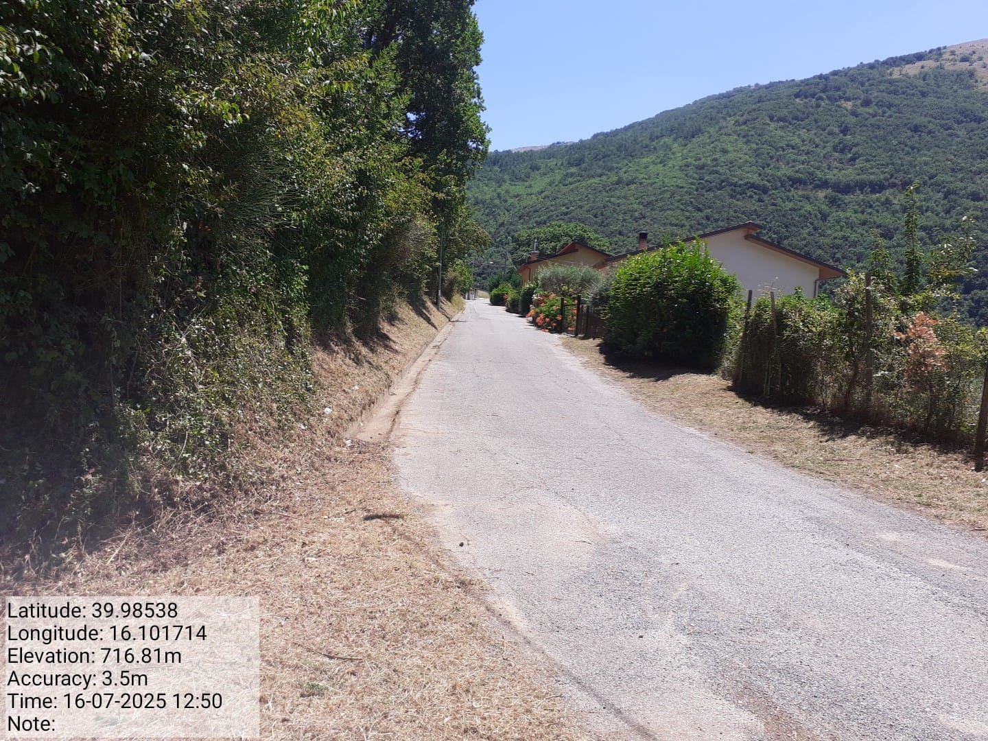 Galleria Fotografica Immagine