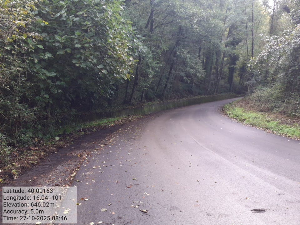 Galleria Fotografica Immagine