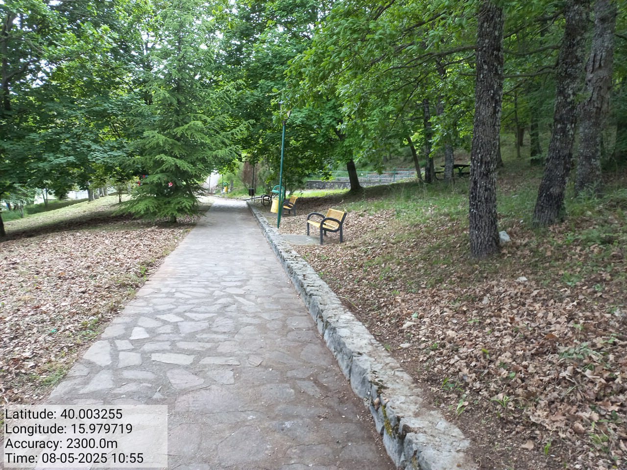 Galleria Fotografica Immagine