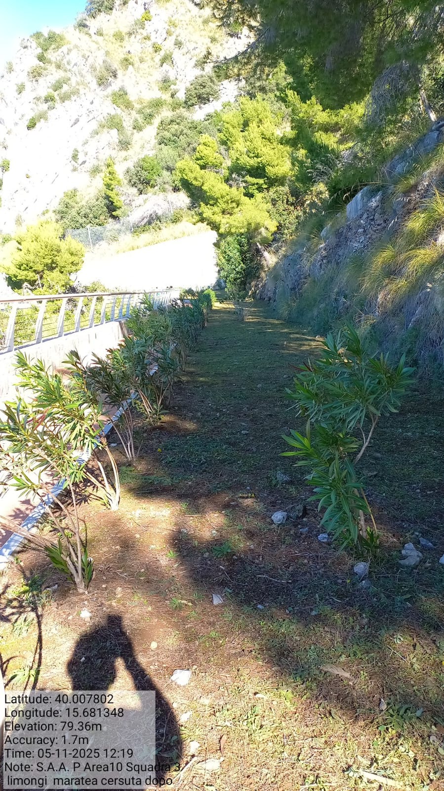 Galleria Fotografica Immagine