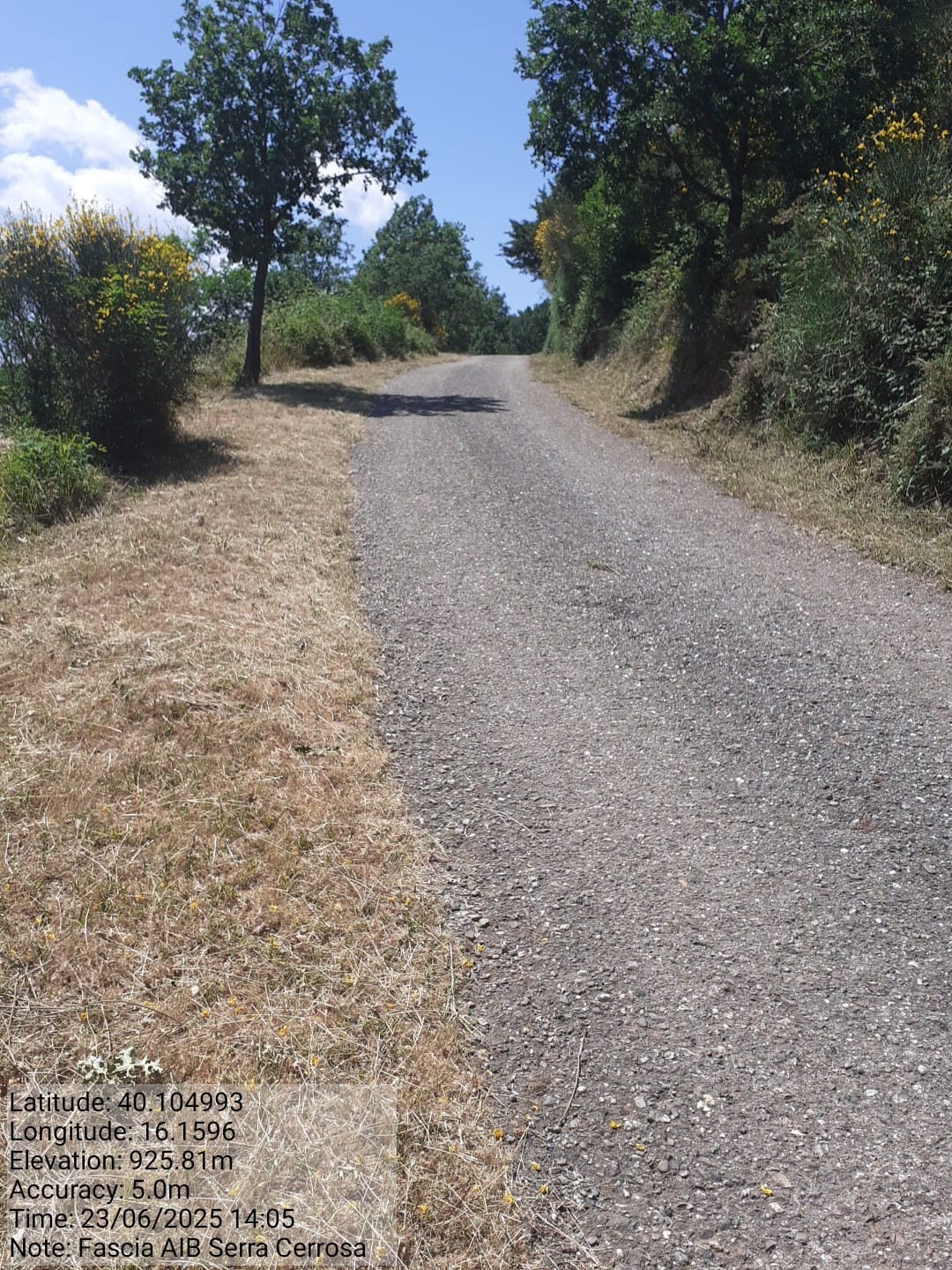 Galleria Fotografica Immagine