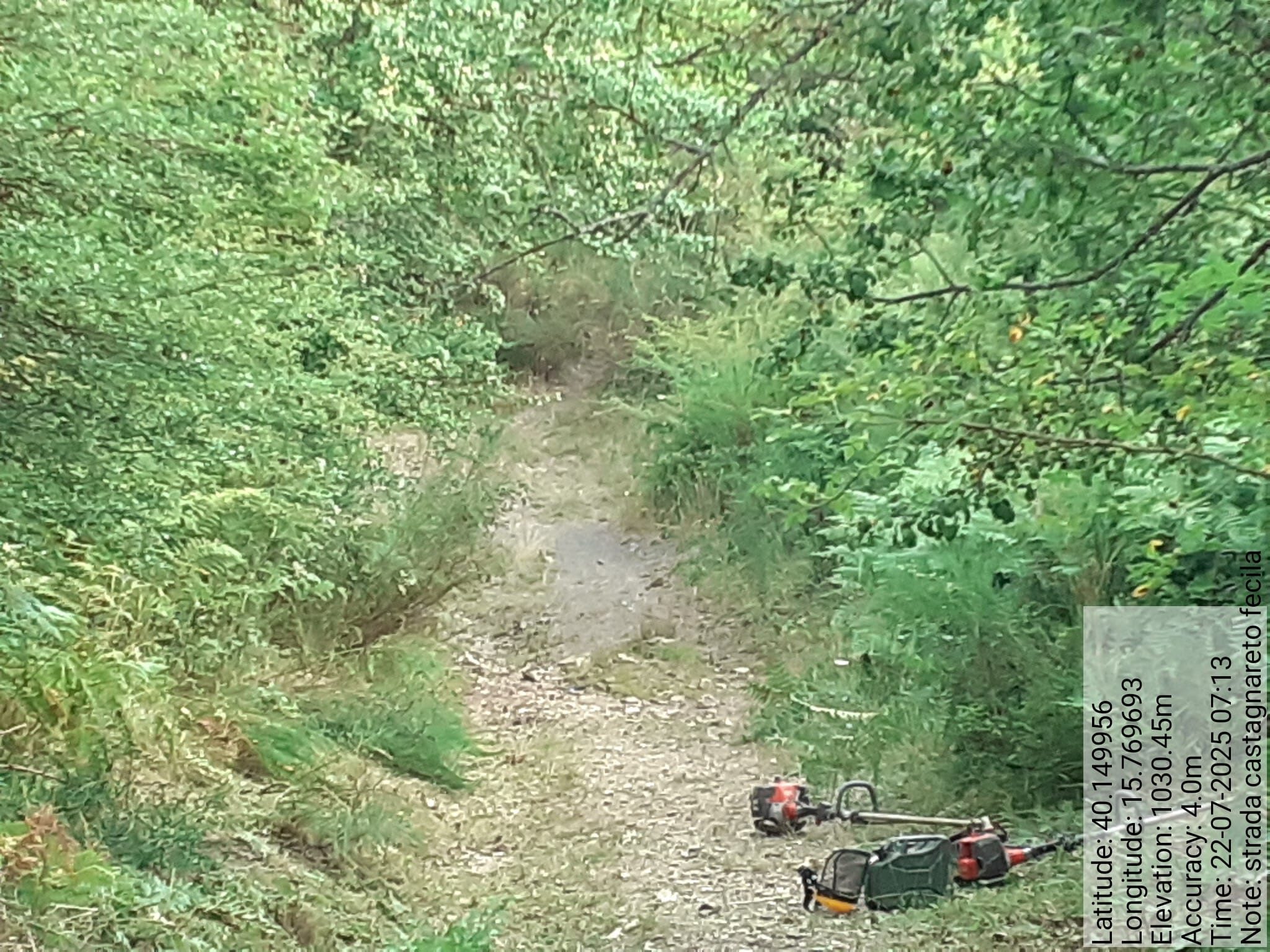 Galleria Fotografica Immagine