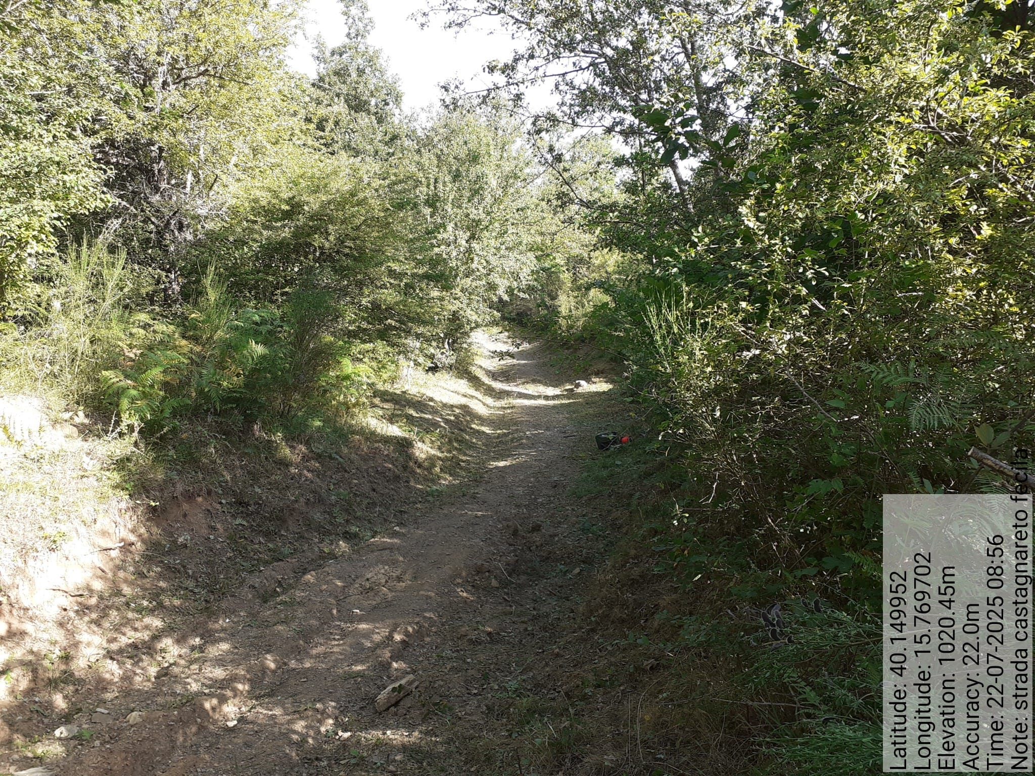 Galleria Fotografica Immagine