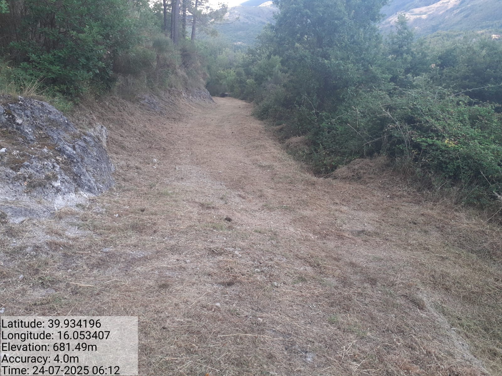 Galleria Fotografica Immagine