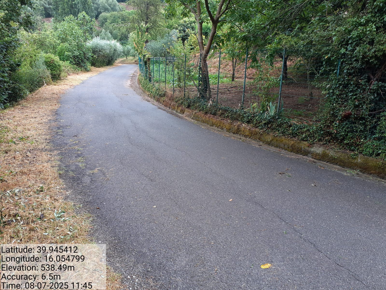 Galleria Fotografica Immagine