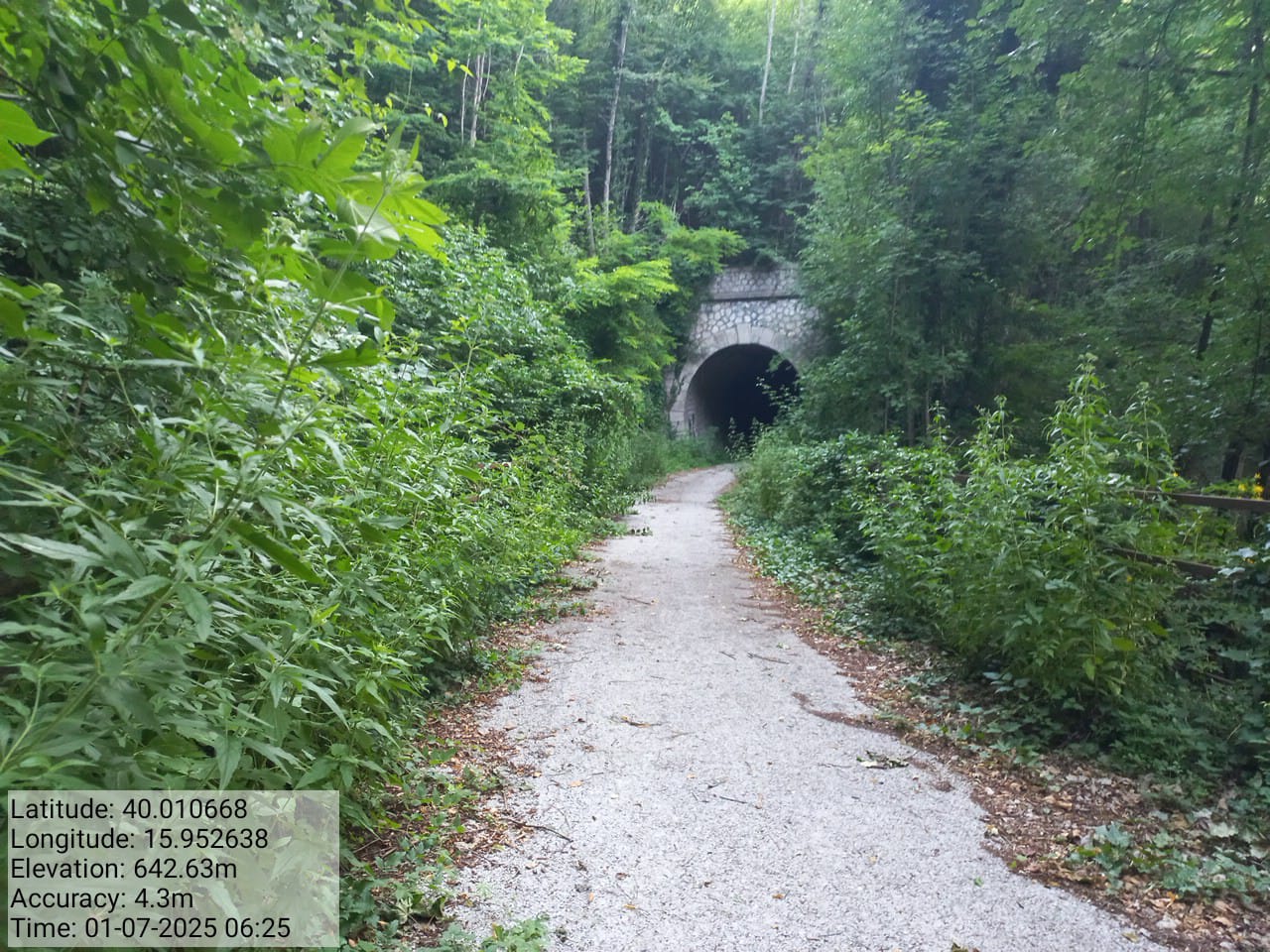 Galleria Fotografica Immagine