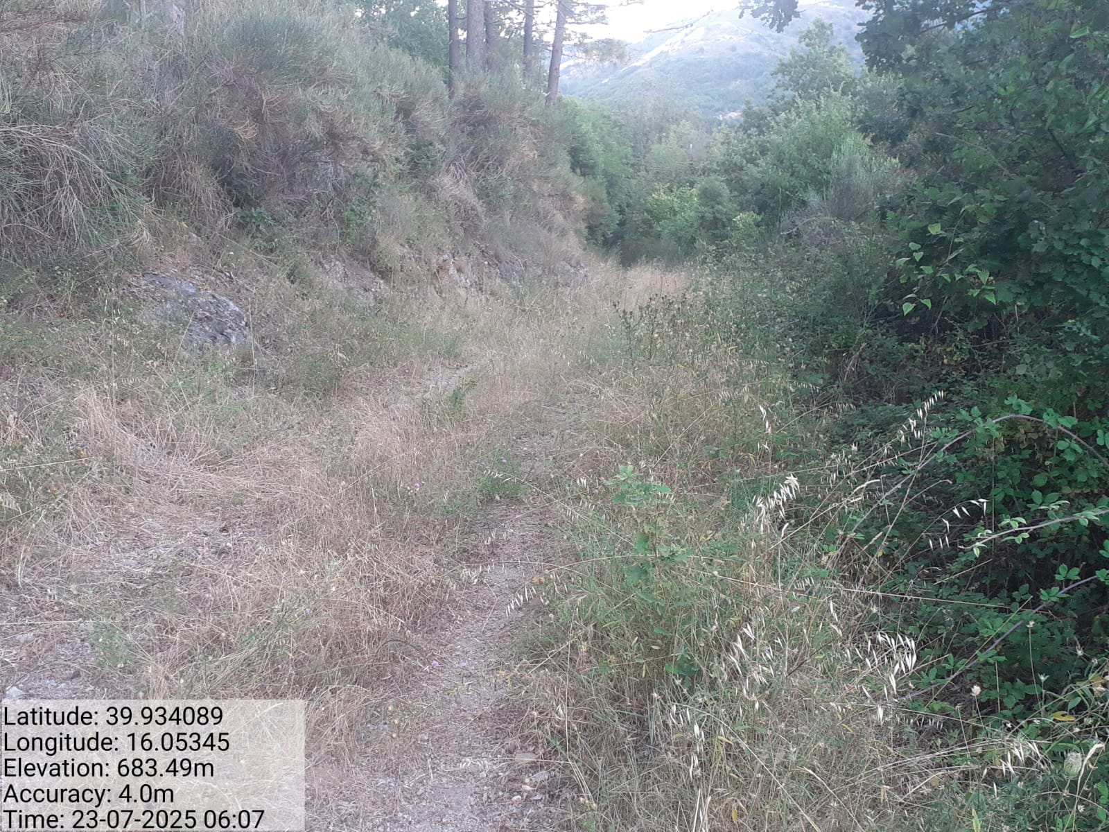 Galleria Fotografica Immagine