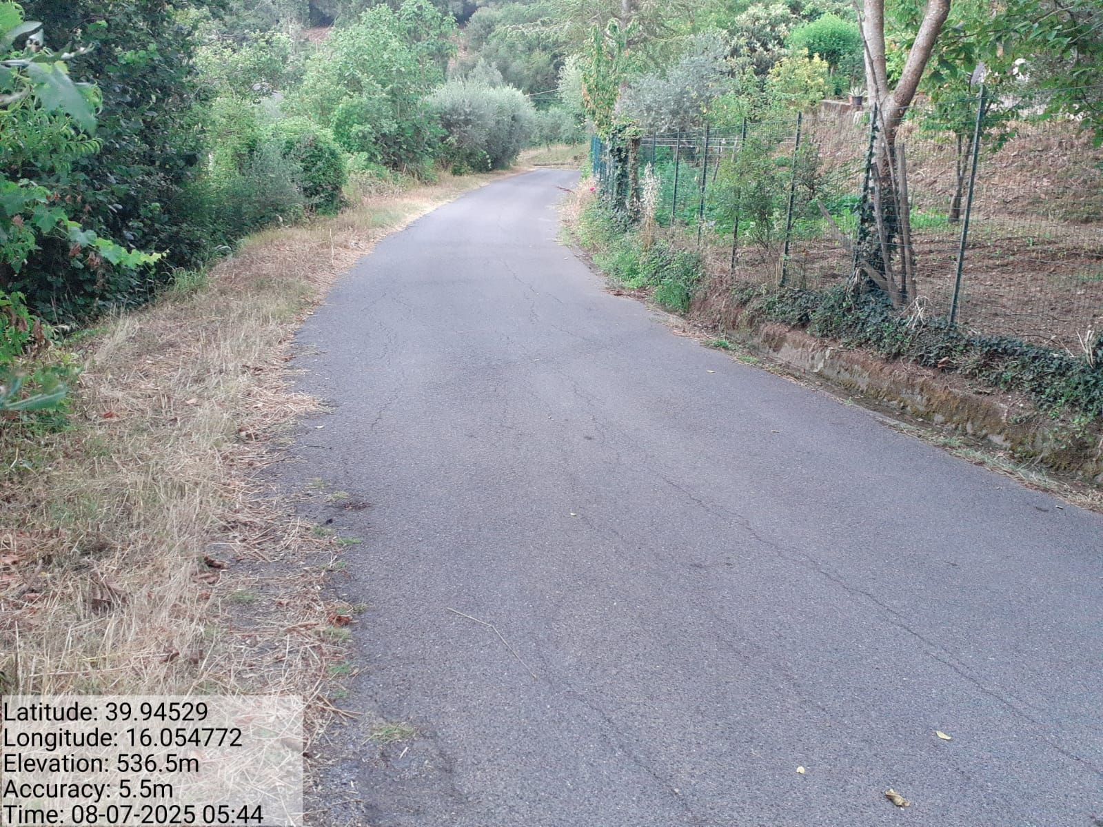 Galleria Fotografica Immagine