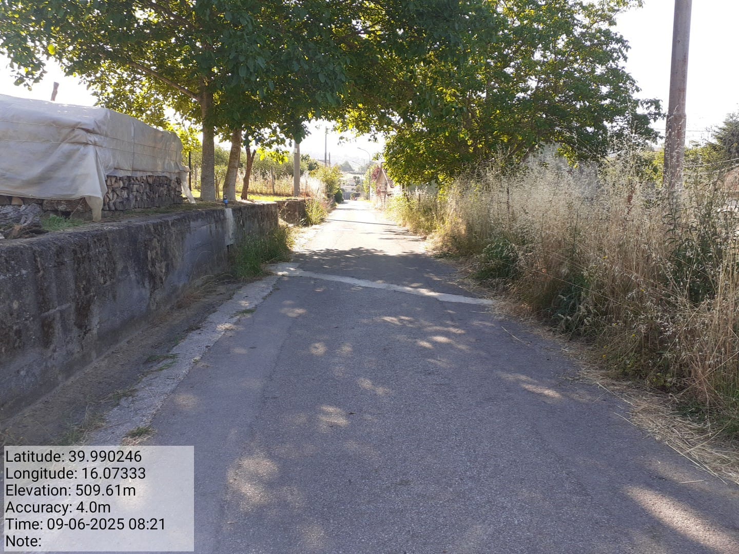 Galleria Fotografica Immagine