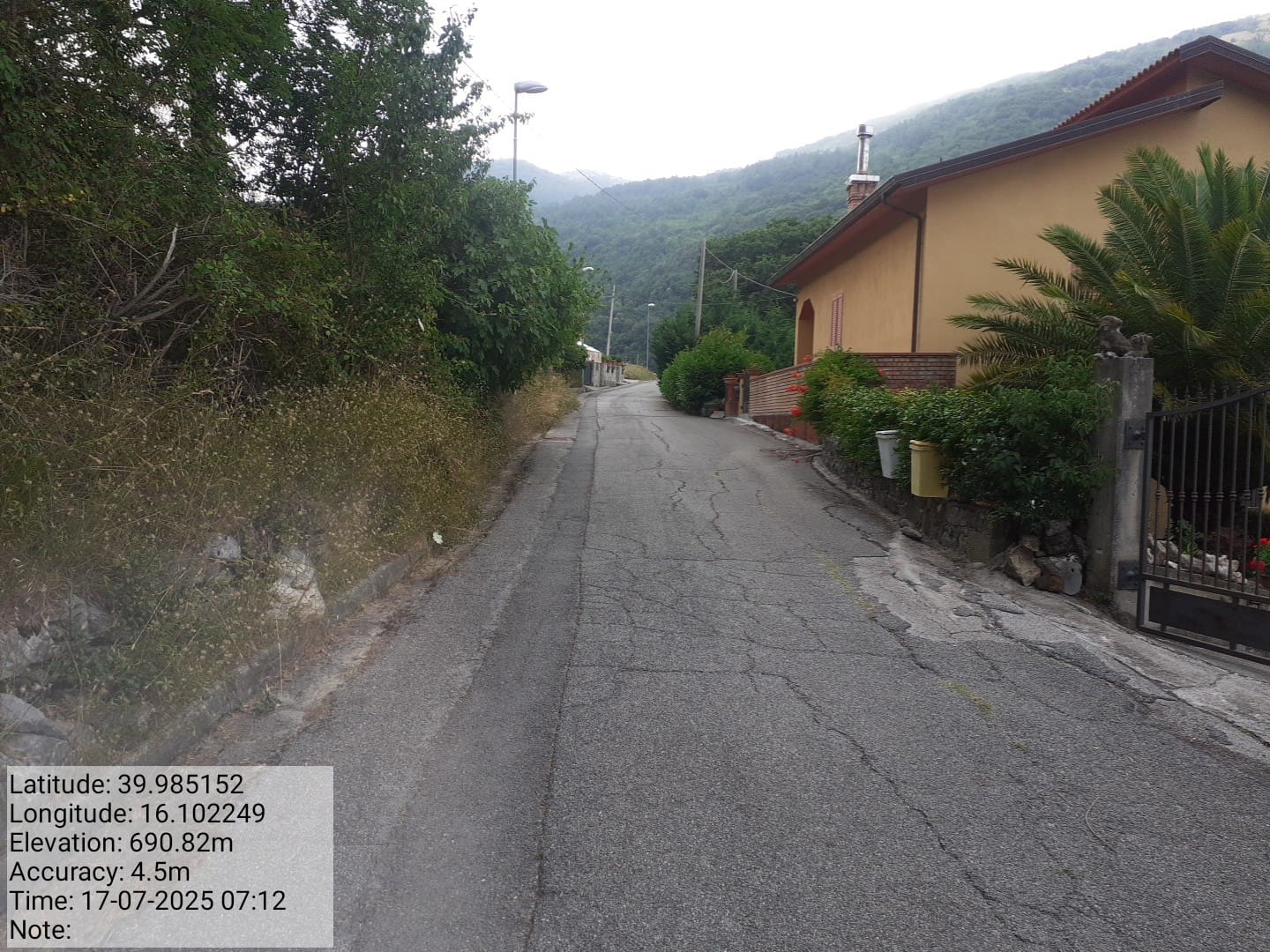 Galleria Fotografica Immagine