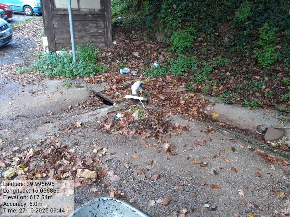 Galleria Fotografica Immagine