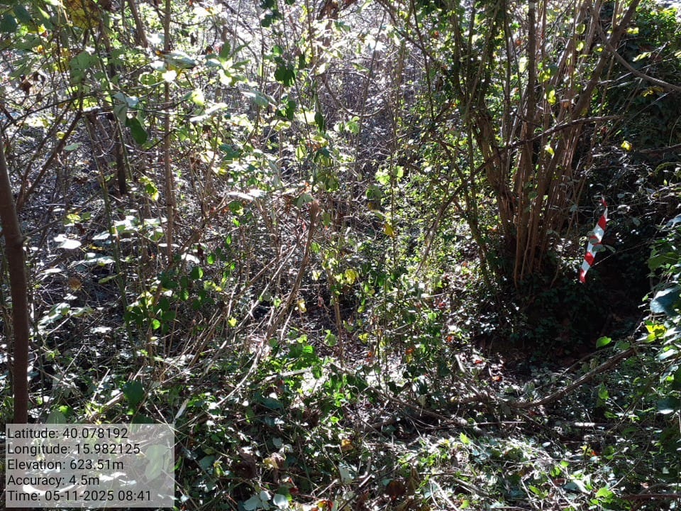 Galleria Fotografica Immagine