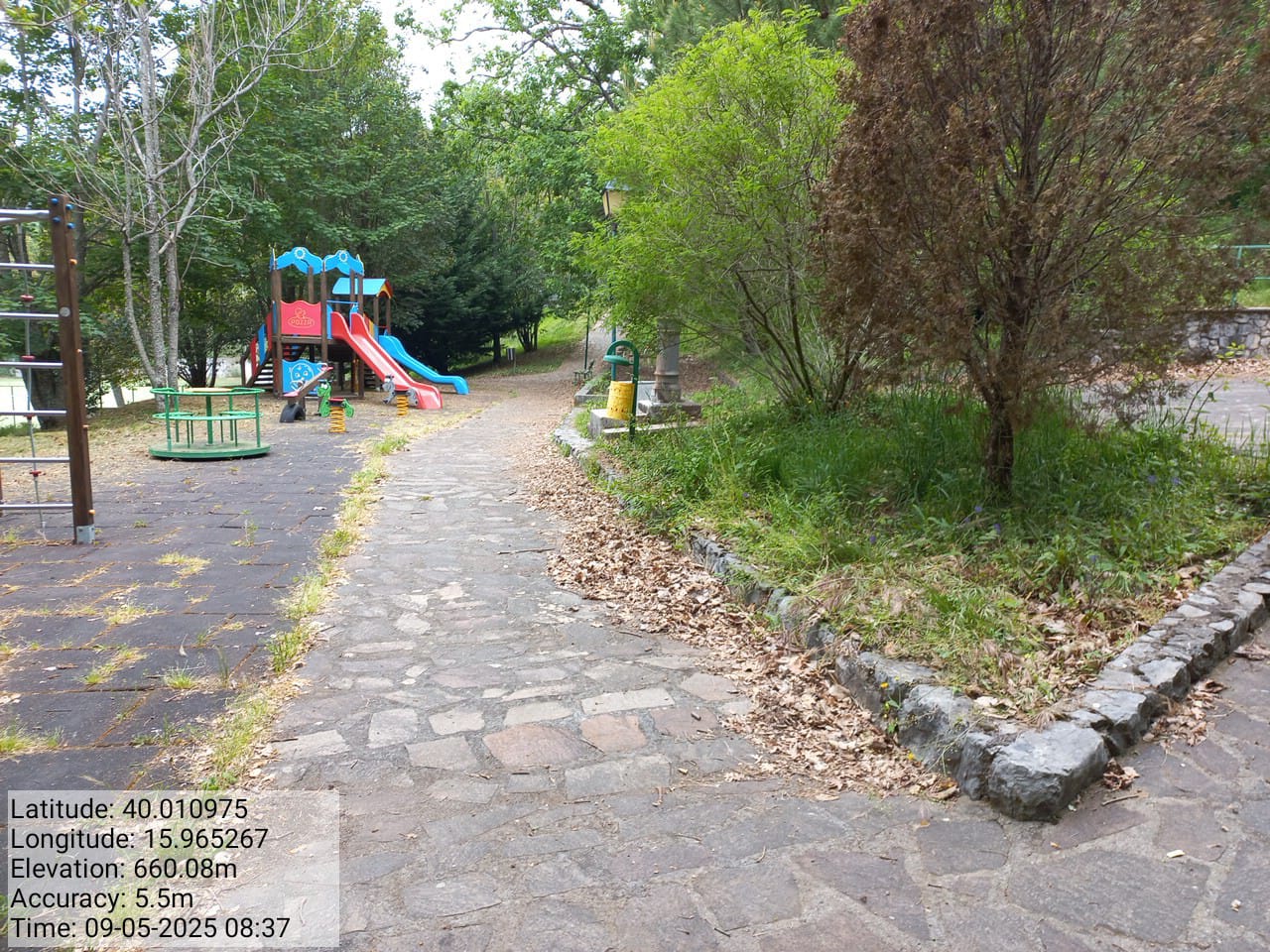 Galleria Fotografica Immagine