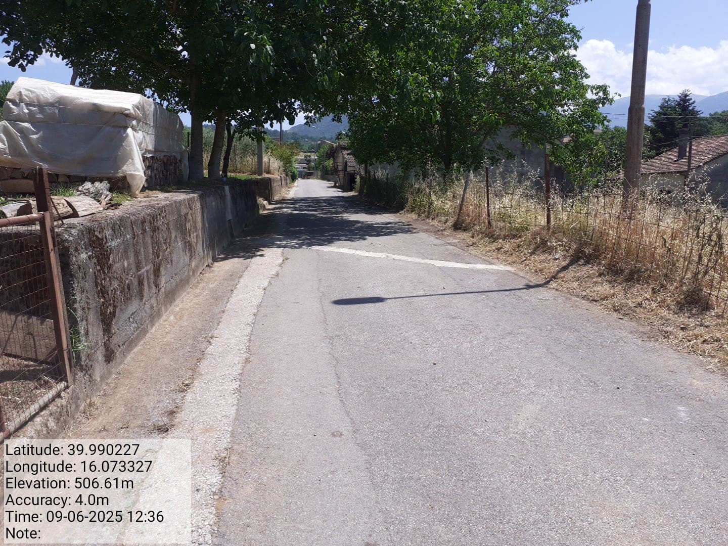 Galleria Fotografica Immagine