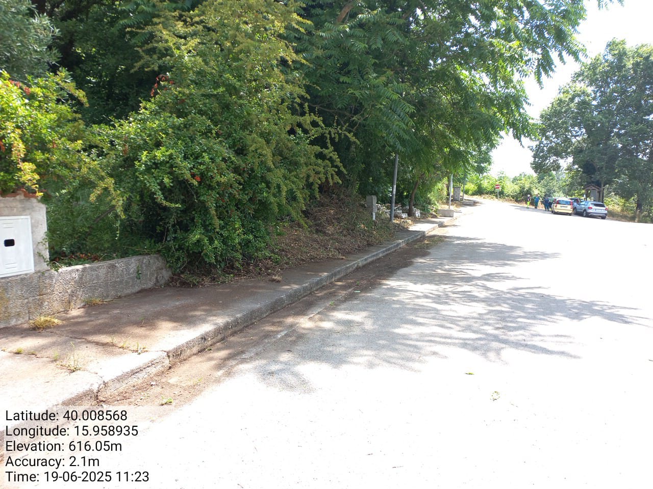 Galleria Fotografica Immagine