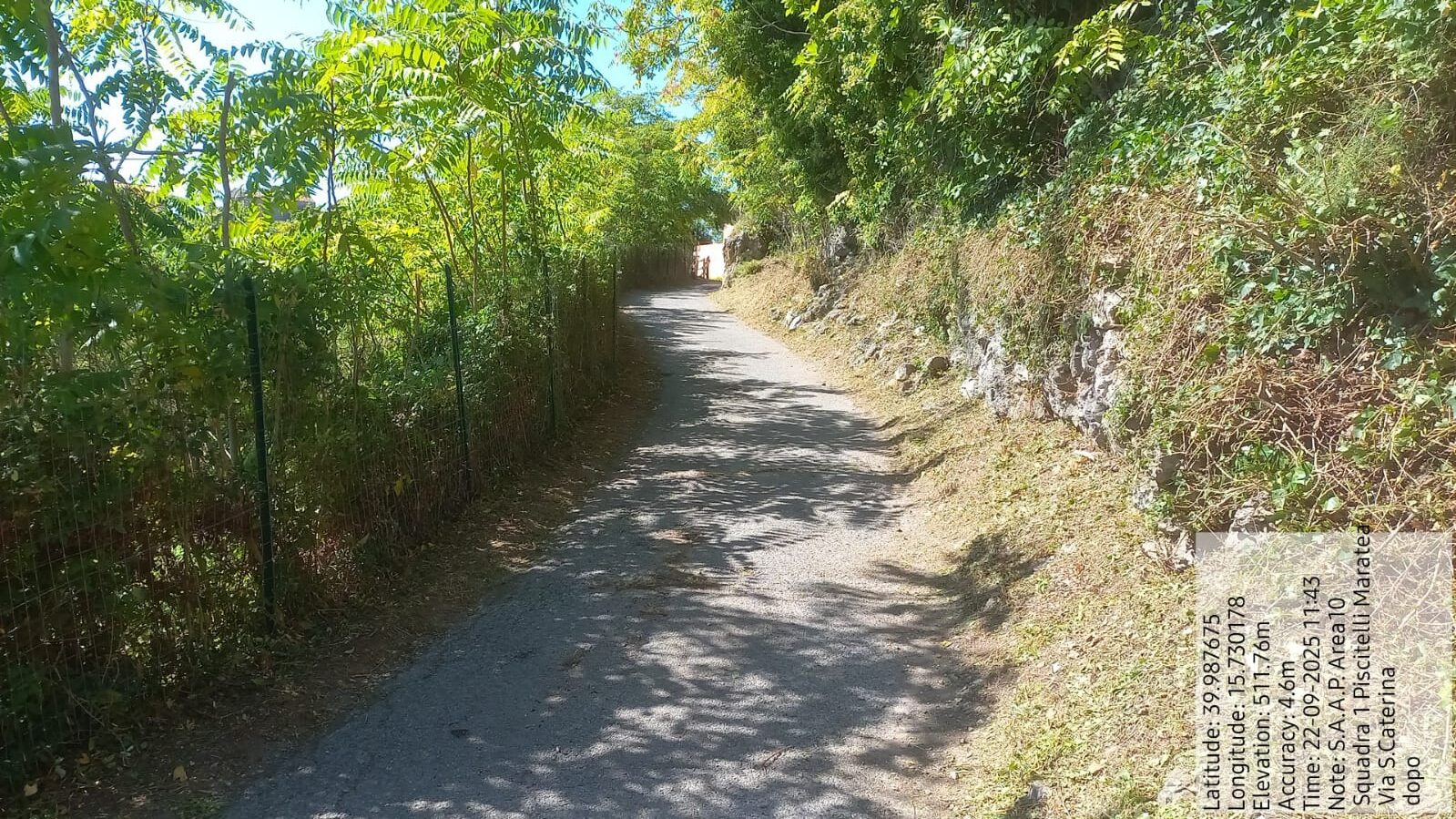 Galleria Fotografica Immagine