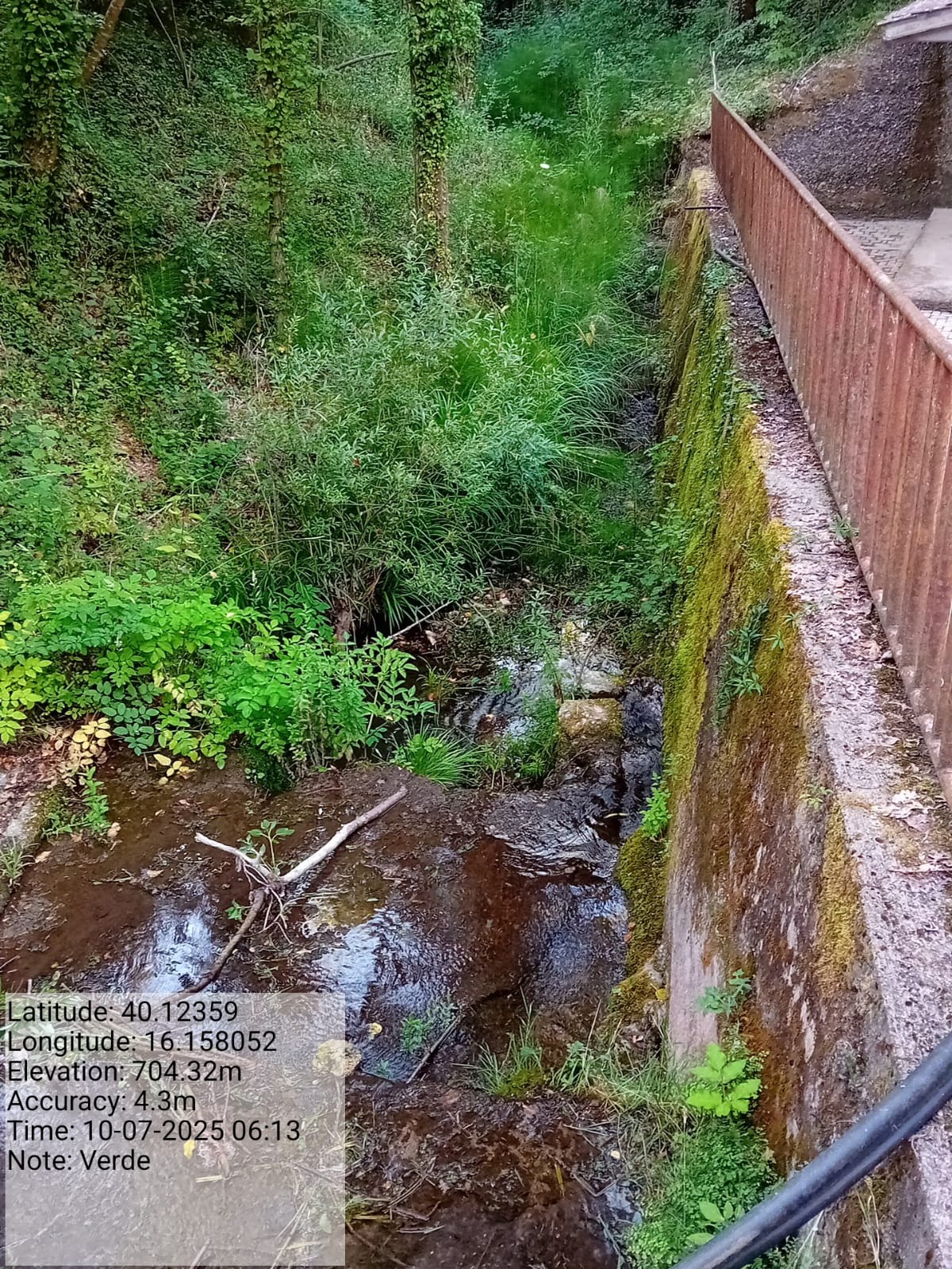 Galleria Fotografica Immagine