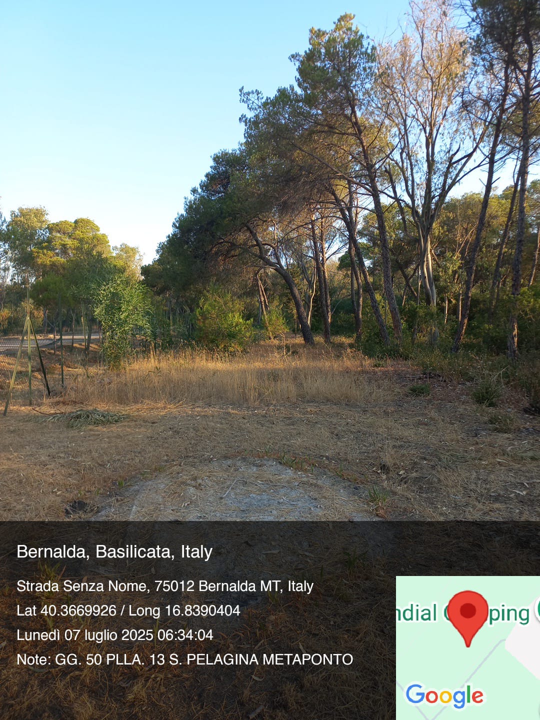 Galleria Fotografica Immagine