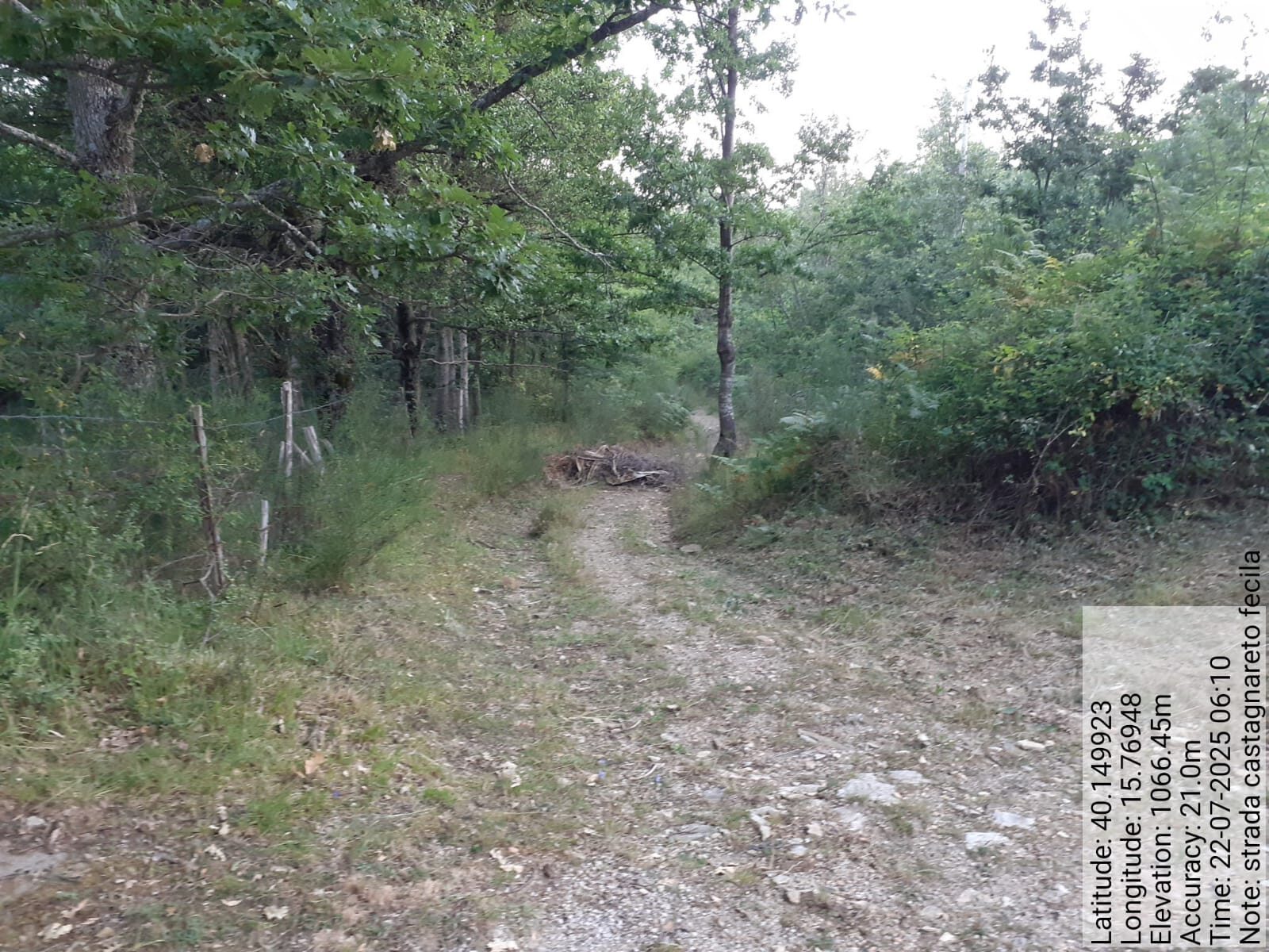 Galleria Fotografica Immagine