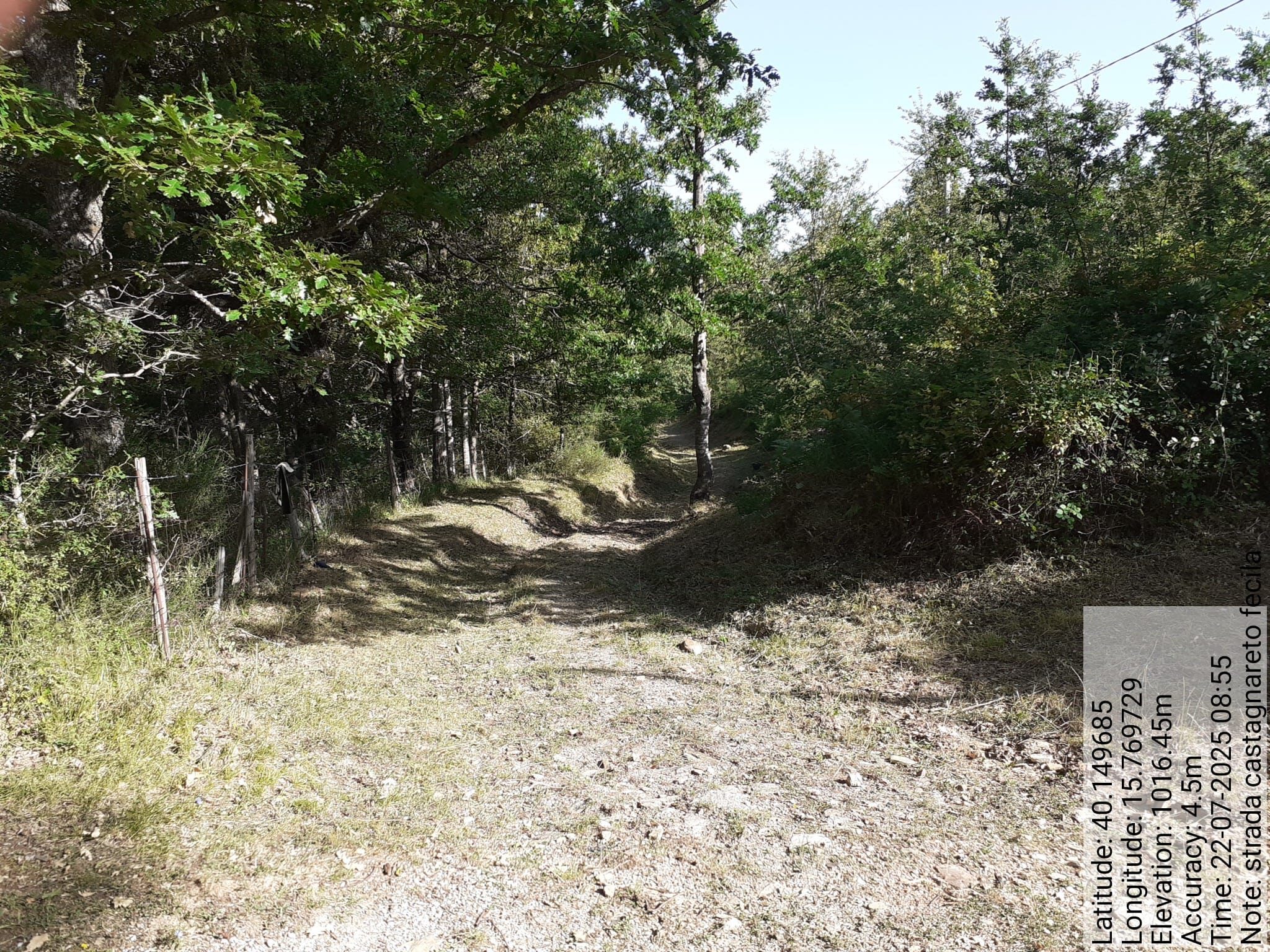 Galleria Fotografica Immagine