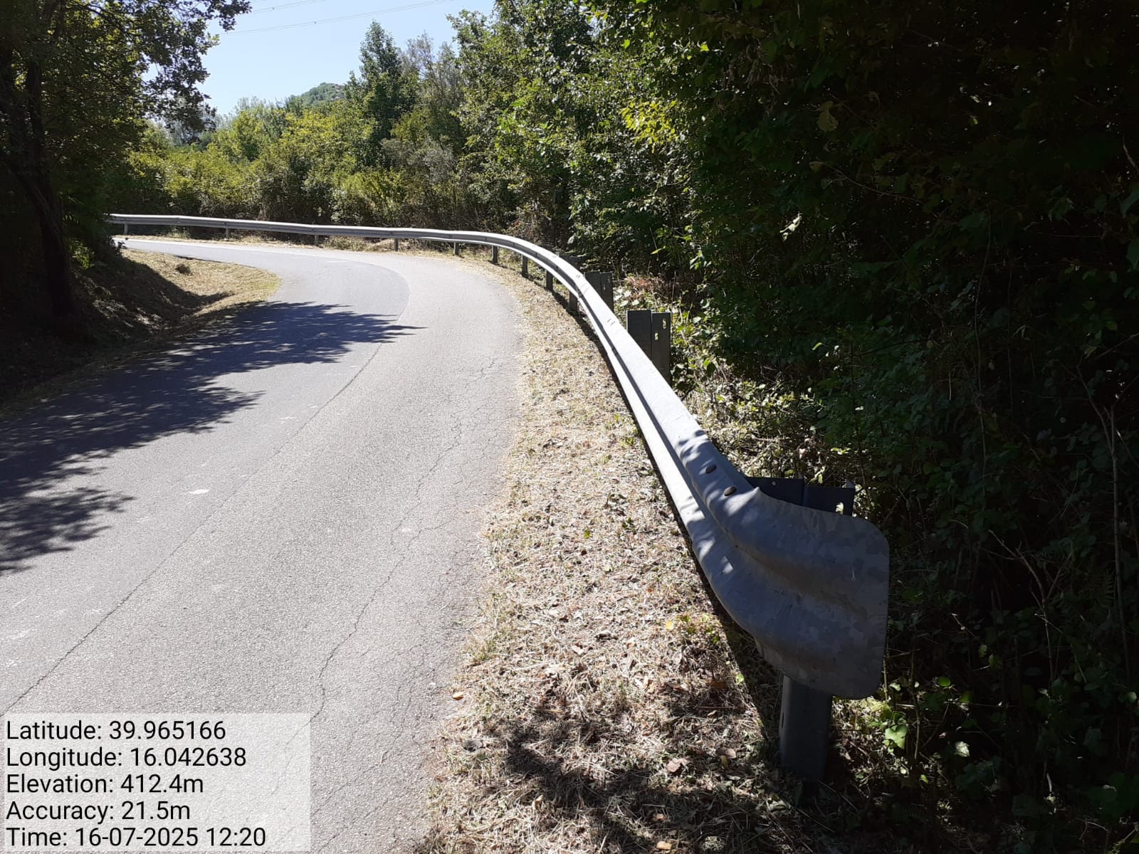 Galleria Fotografica Immagine