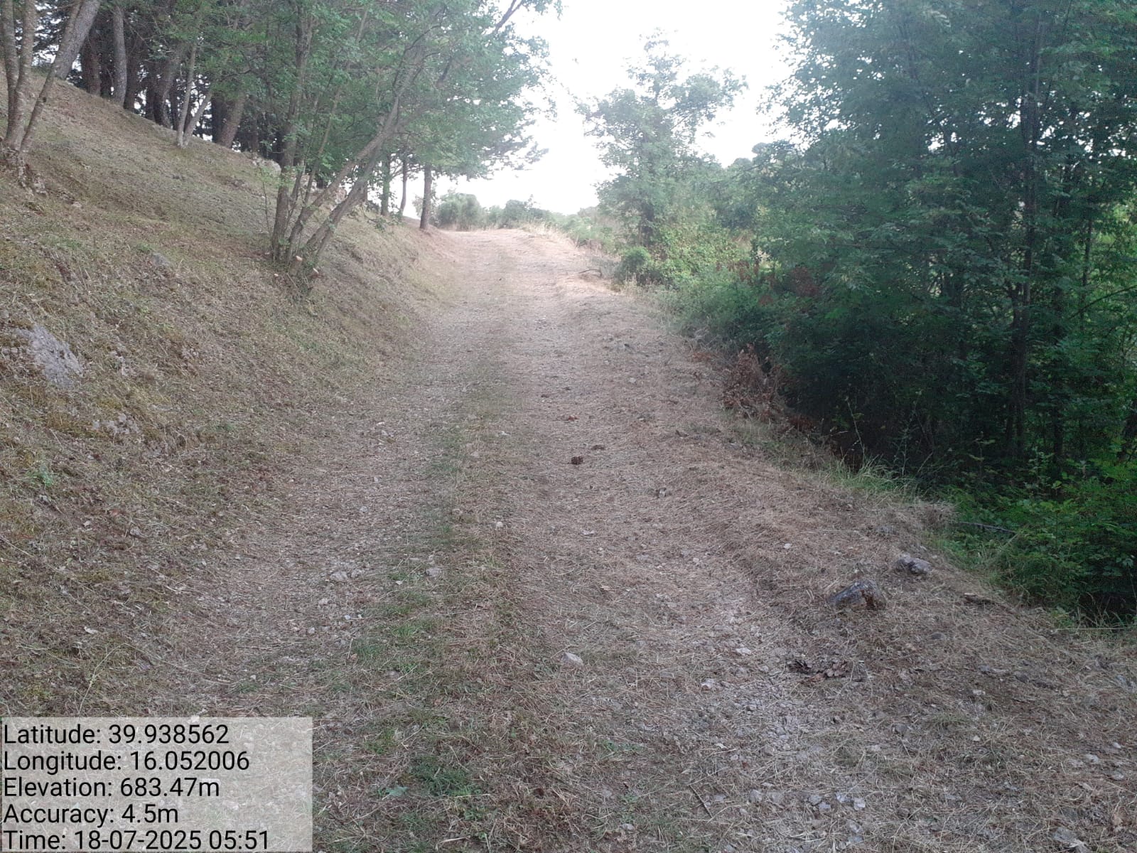 Galleria Fotografica Immagine