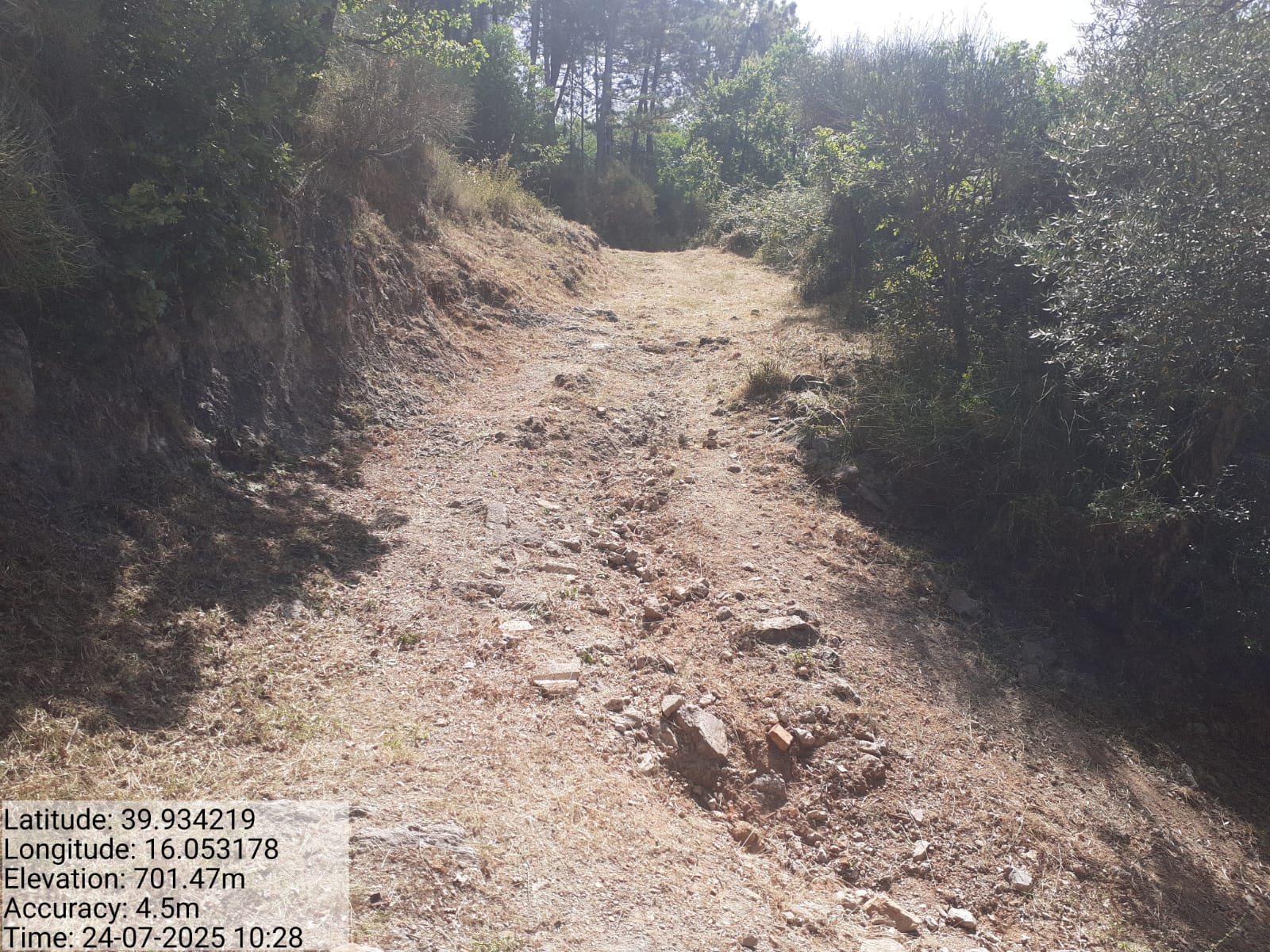 Galleria Fotografica Immagine