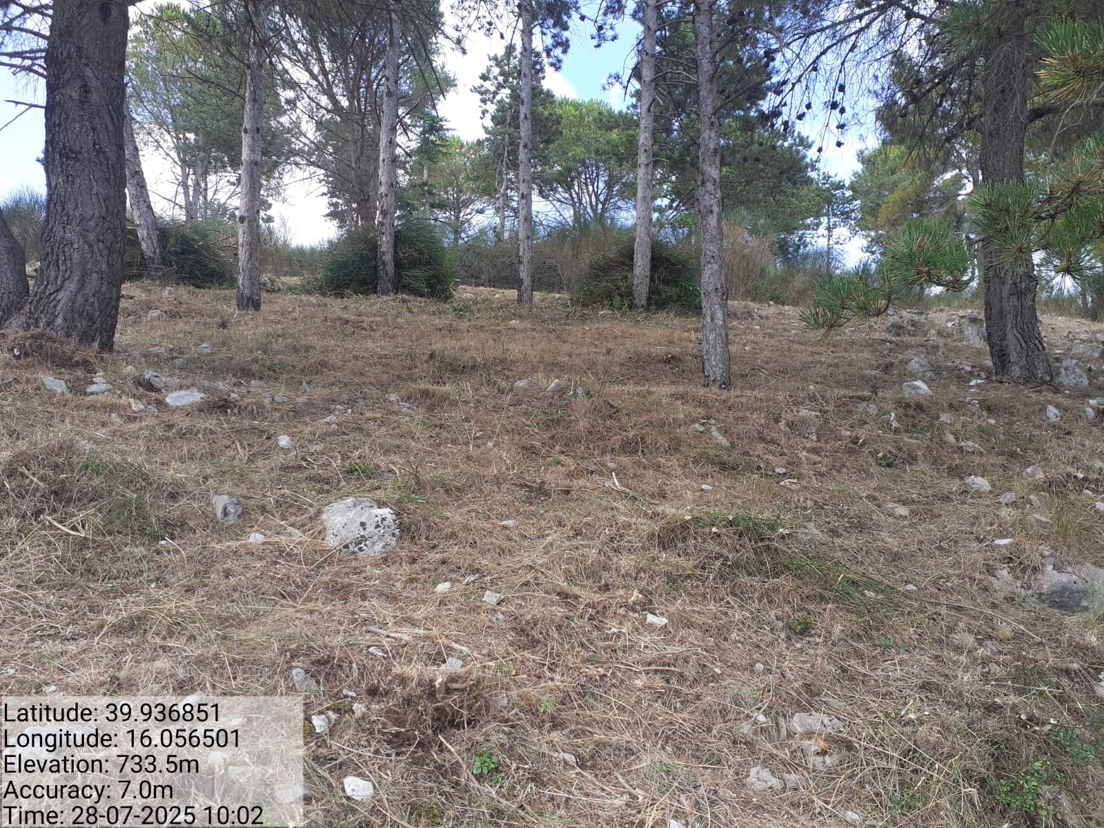 Galleria Fotografica Immagine