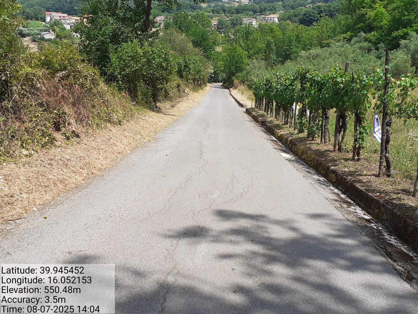 Galleria Fotografica Immagine