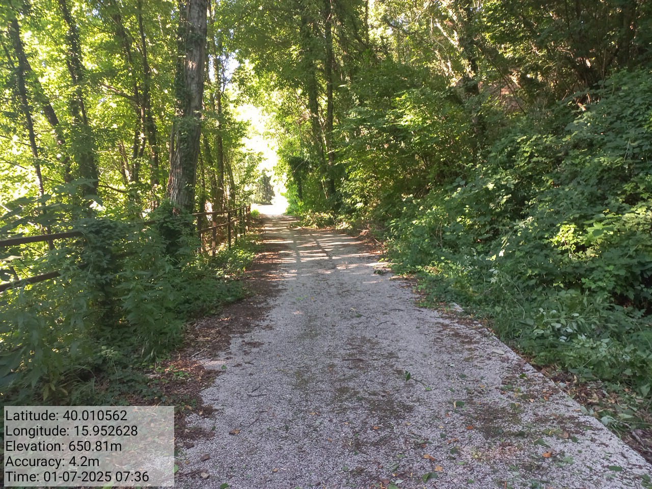 Galleria Fotografica Immagine