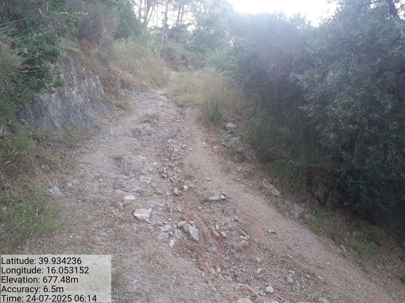 Galleria Fotografica Immagine