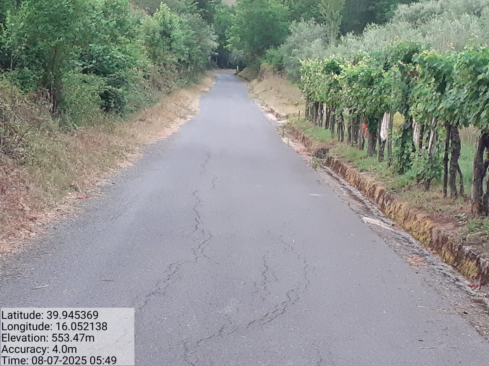 Galleria Fotografica Immagine