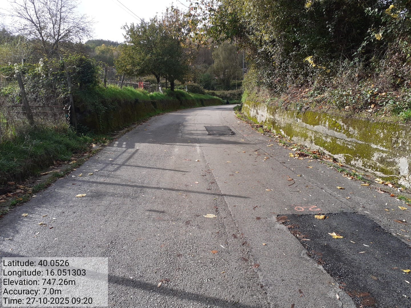 Galleria Fotografica Immagine