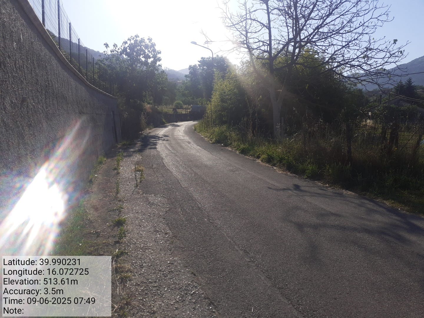 Galleria Fotografica Immagine