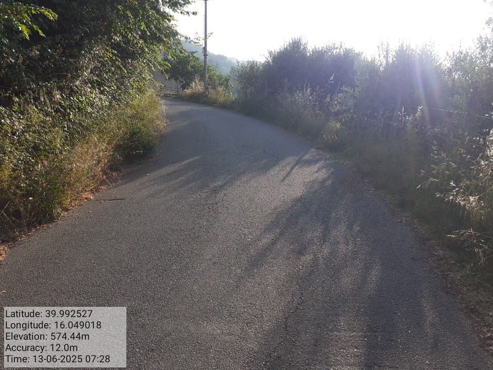 Galleria Fotografica Immagine