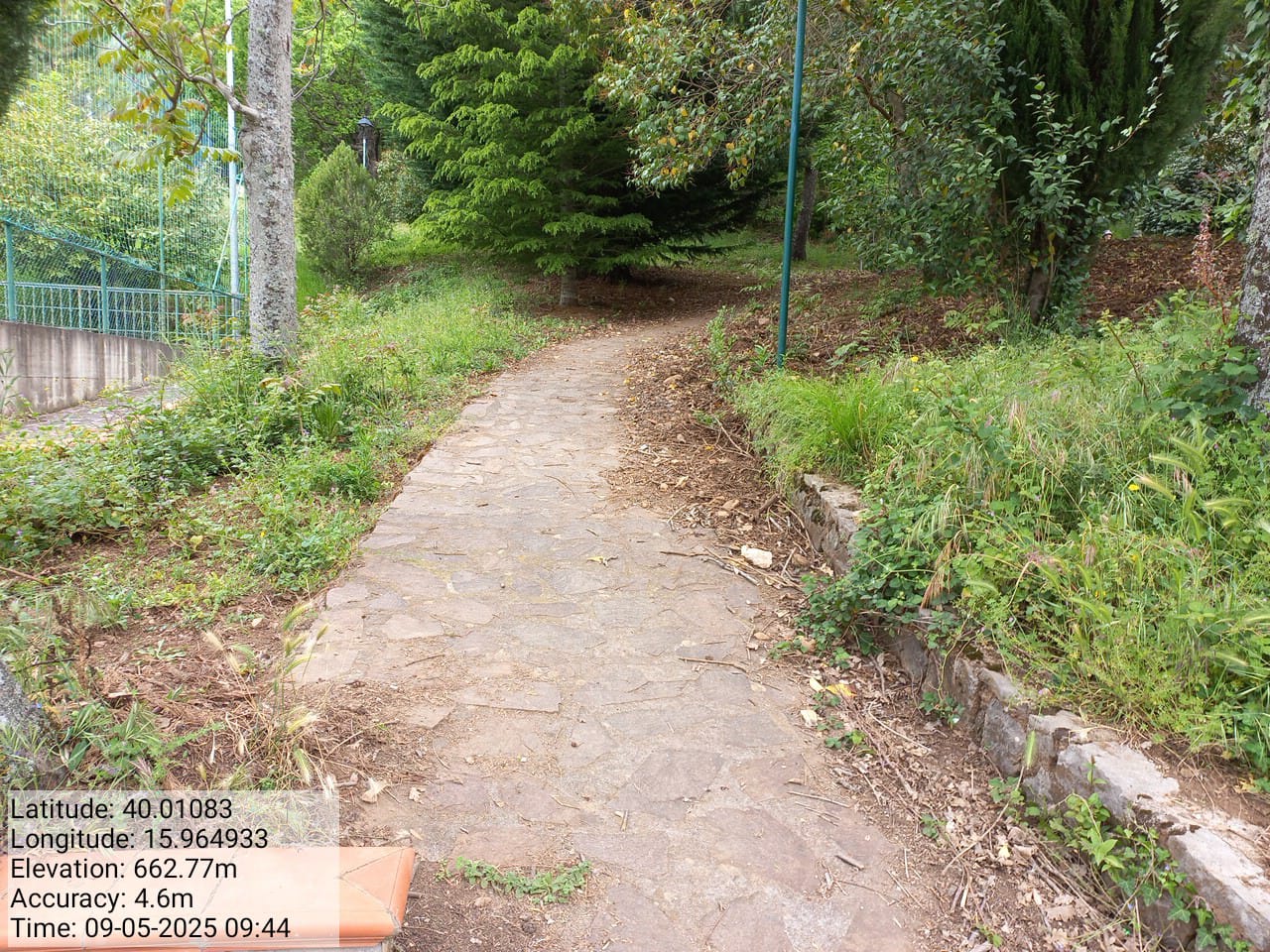 Galleria Fotografica Immagine