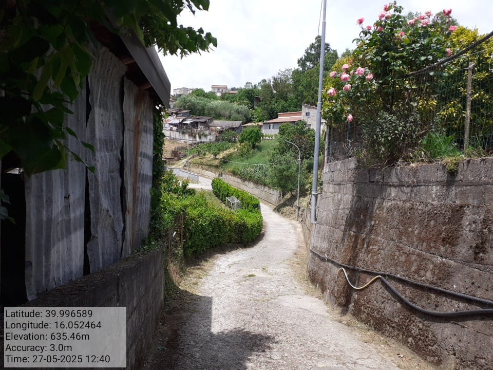 Galleria Fotografica Immagine